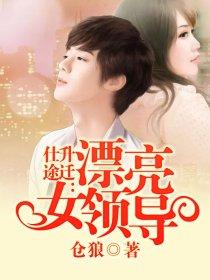 仕途升迁:漂亮女领导 仕途升迁:漂亮女领导